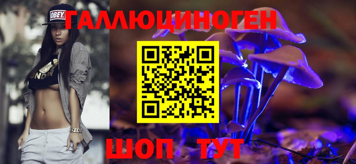 Псилоцибиновые грибы прущие грибы Всеволожск