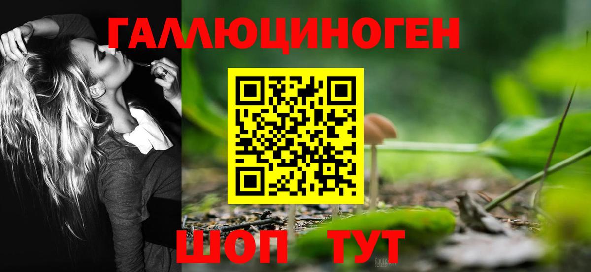 Псилоцибиновые грибы прущие грибы  Вход с VPN  цены наркотик  Всеволожск 